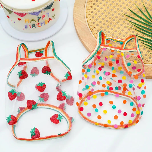 Princess Vest for Small dogs |AXOIZ