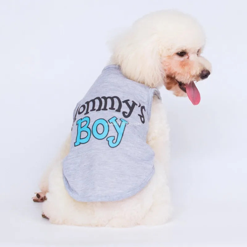 Vests for Dogs | AXOIZ
