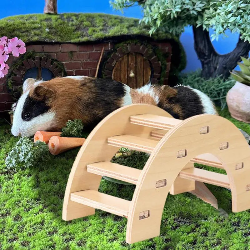 Hamster Nest Hiding House l AXOIZ