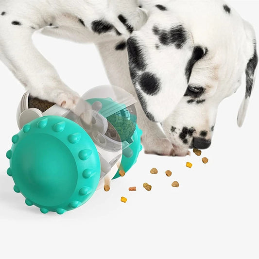 Dog Feeder and Trainer l AXOIZ