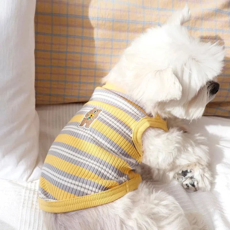 Embroidered Vest for Dogs | AXOIZ