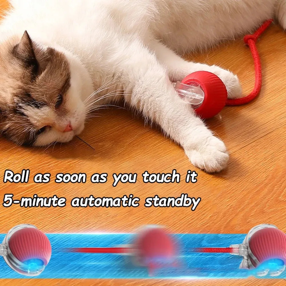 Robotic Ball for pets l AXOIZ