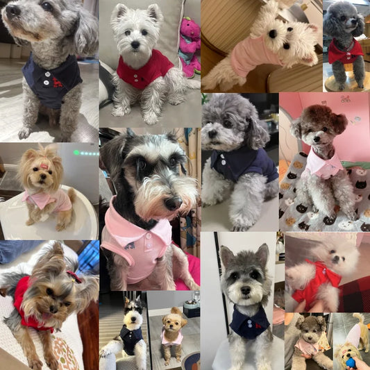 Polo Shirt for Dog's l AXOIZ