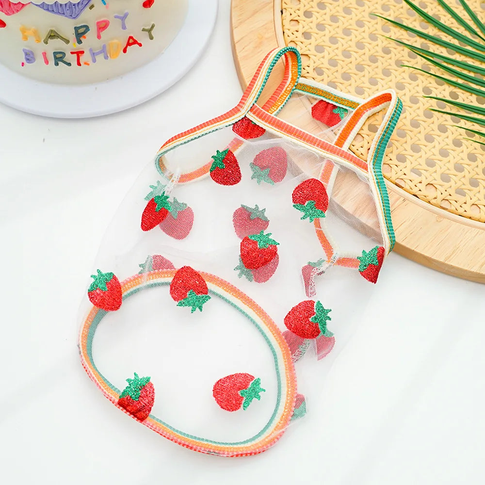 Princess Vest for Small dogs |AXOIZ
