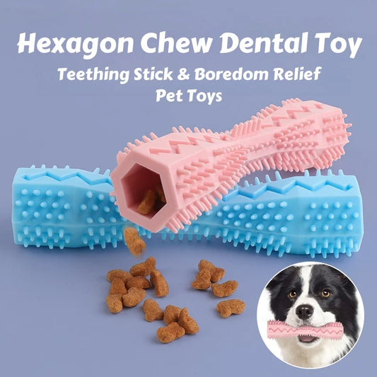 Chew Toy for Dogs l AXOIZ