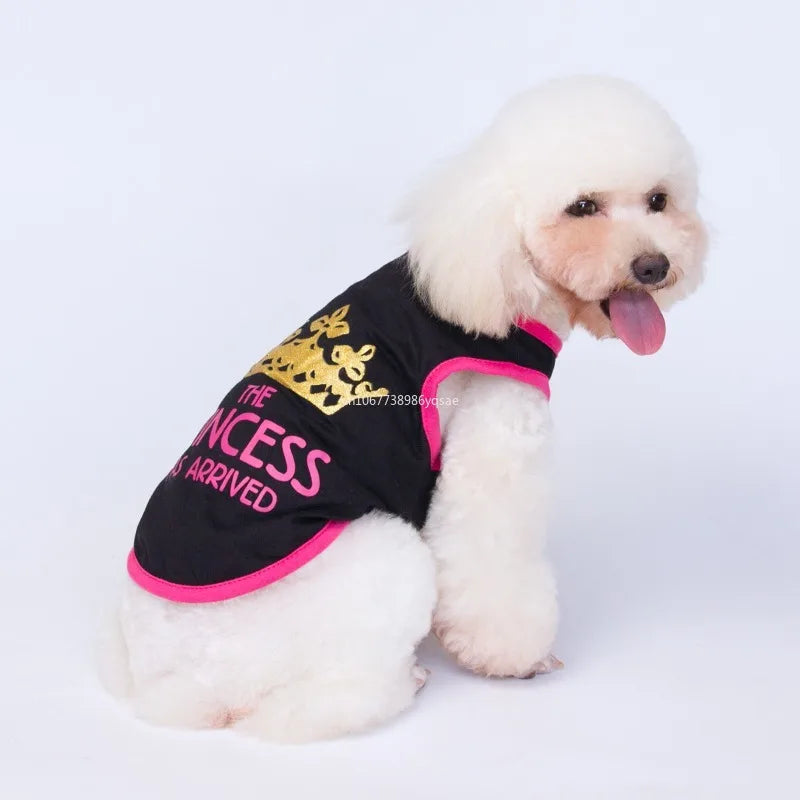 Gilets imprimés pour chiens élégants | AXOIZ