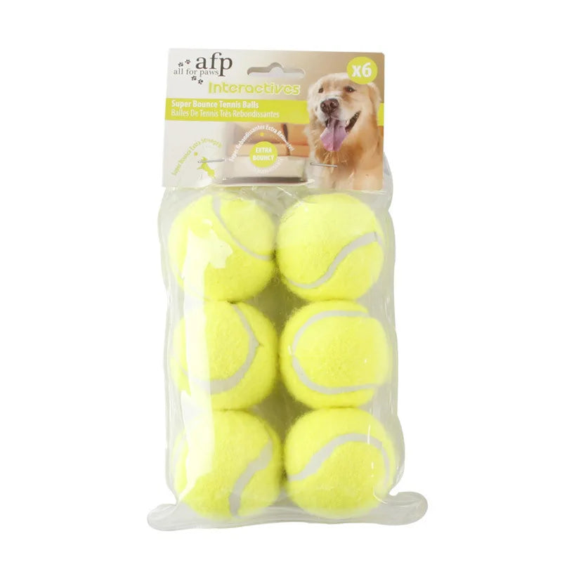 Ball Thrower Toy for Pets with 2 balls l AXOIZ