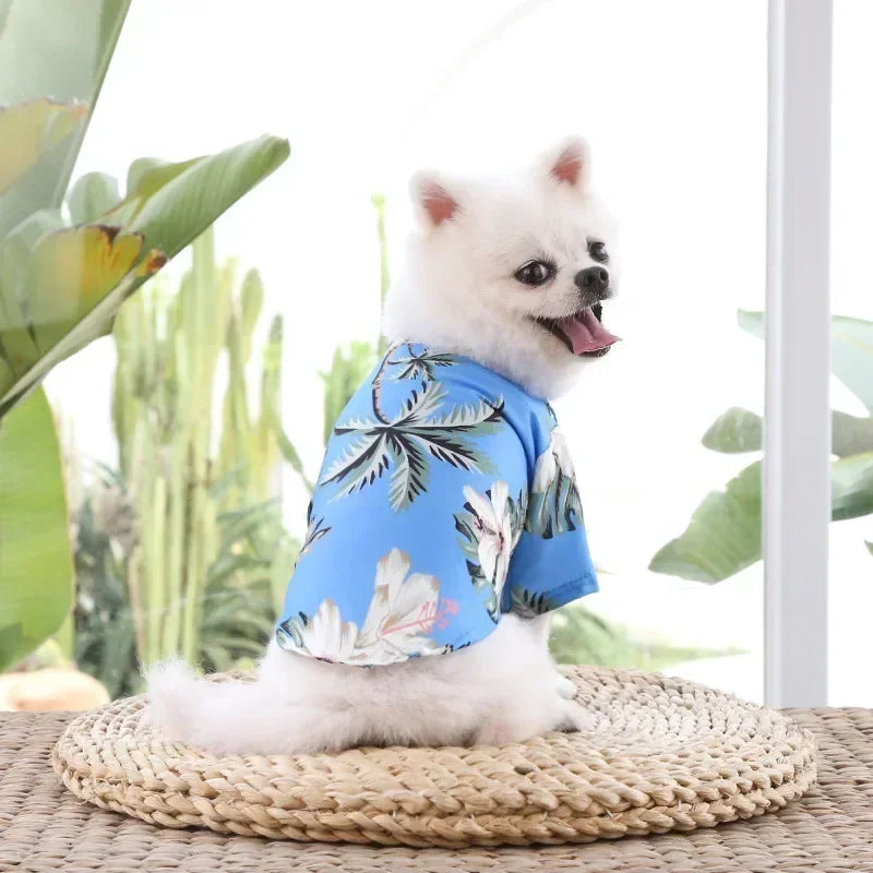 Hawaiian Style Shirts made for dogs | AXOIZ