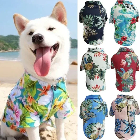 Hawaiian Style Shirts made for dogs | AXOIZ