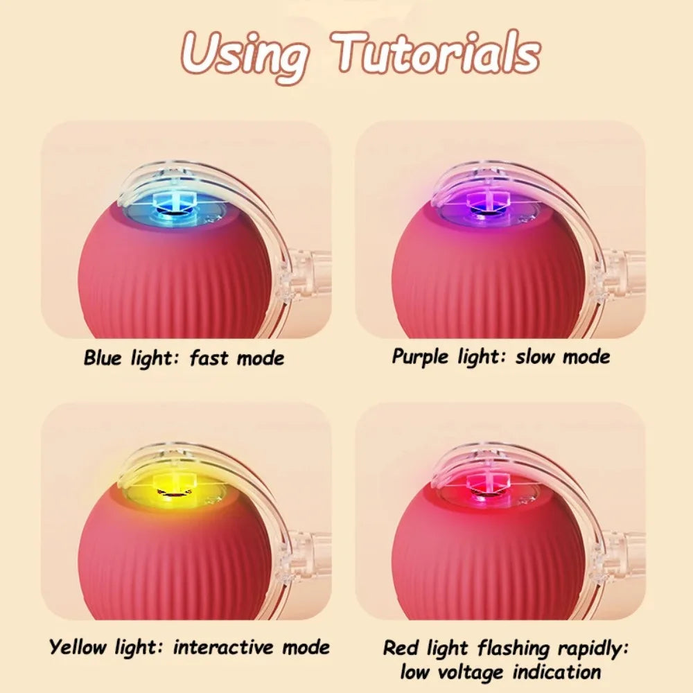 Robotic Ball for pets l AXOIZ