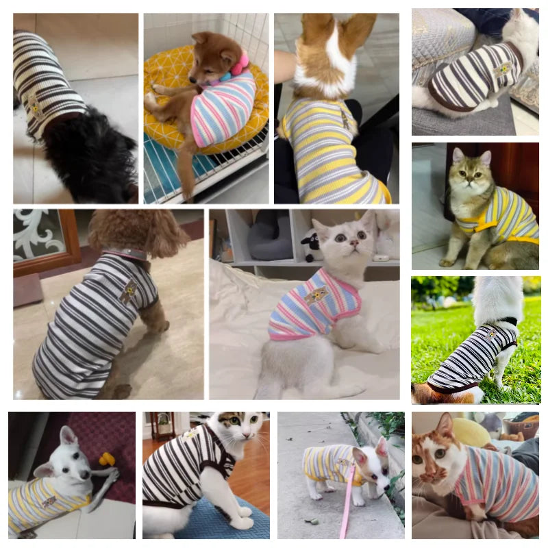 Embroidered Vest for Dogs | AXOIZ