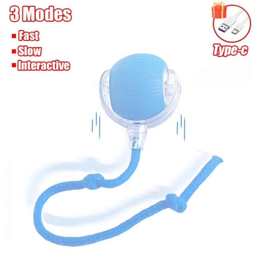 Robotic Ball for pets l AXOIZ