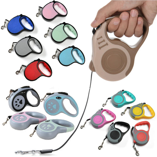 Simple Dog Leash l AXOIZ