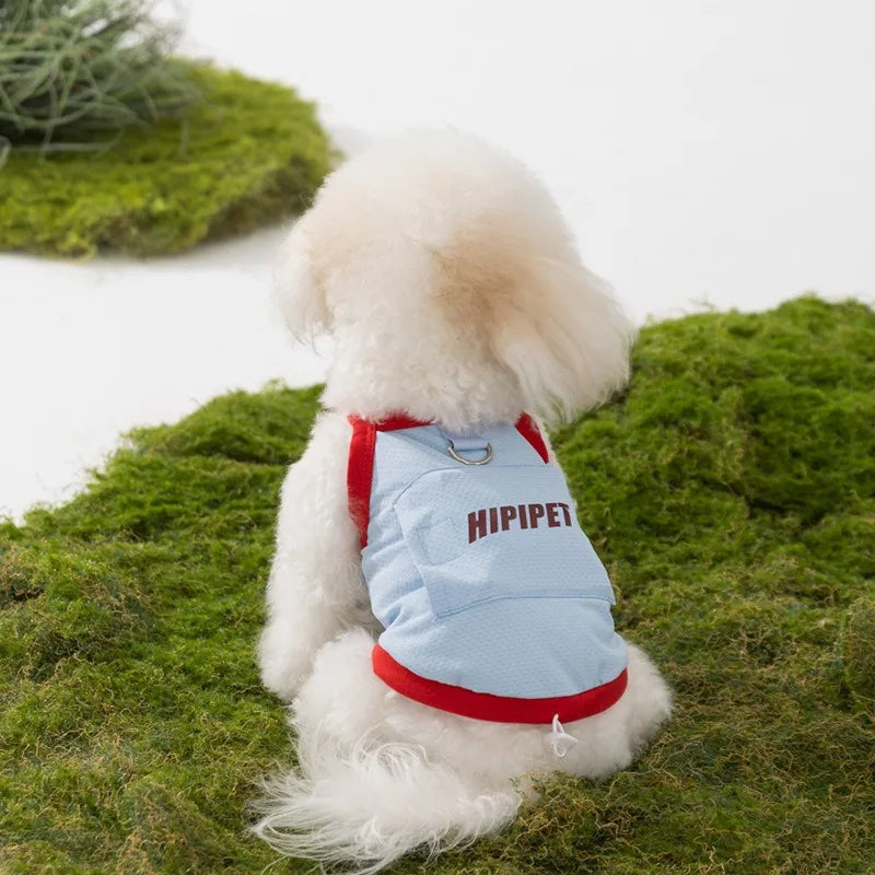 Cute Vests for Dogs | AXOIZ