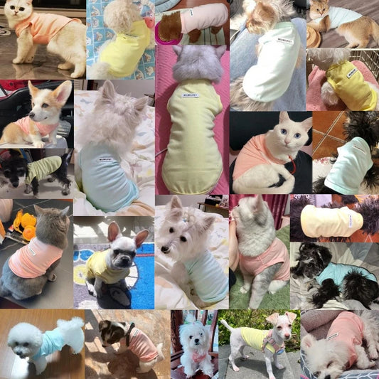 Breathable Cotton vest for Dogs | AXOIZ