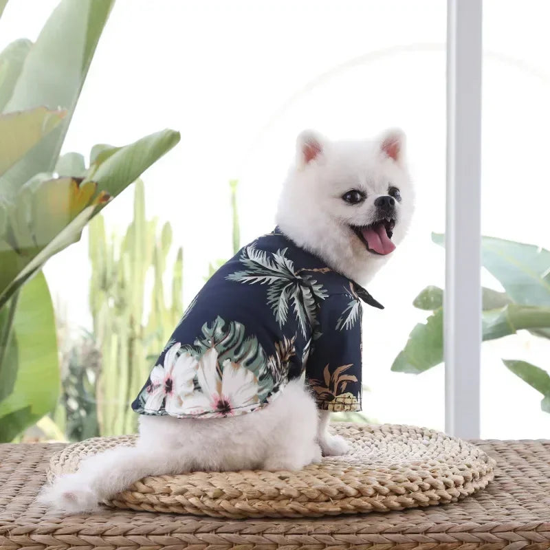 Hawaiian Style Shirts made for dogs | AXOIZ